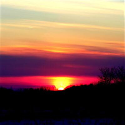 新宝手机版APP截图