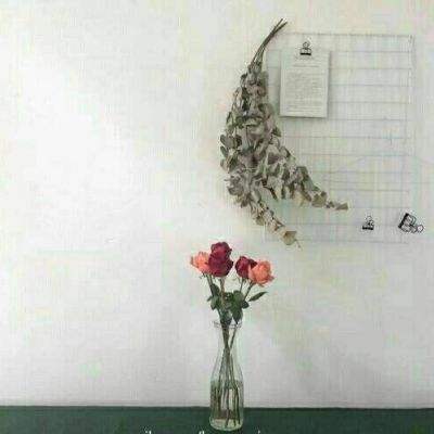 bat365在线官网登录入口